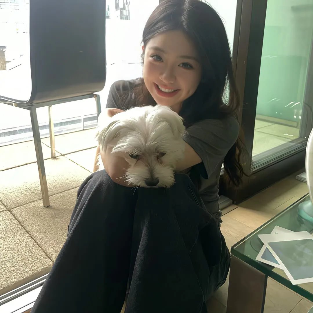 猫物件 电影版